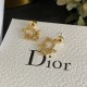 Recommended unarrived brand Earrings 2023SS DIOR Dior Recommended unarrived brand Earrings 2023SS DIOR Dior